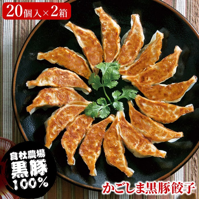 【送料込】 かごしま黒豚餃子 40個 (20個入×2箱) ギョーザ ぎょうざ 贈り物 お土産 鹿児島 六次 お歳暮 御歳暮 中元 お中元 御中元