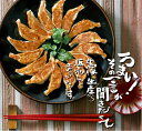 【送料込】 かごしま黒豚餃子 80個 (20個入×4箱) ギョーザ ぎょうざ 贈り物 お土産 鹿児島 六次 お歳暮 御歳暮 父の日 中元 お中元 御中元 2