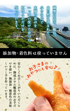 【クーポン利用で500円OFF】鹿児島県甑島産紅はるか使用 干し芋 100g×1袋【送料無料】さつまいも サツマイモ さつま芋 からいも 唐芋 ほしいも おやつ 国産 鹿児島産【メール便配送】