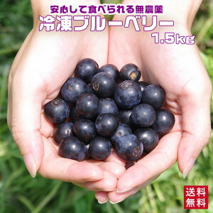 国産 鹿児島県産 冷凍ブルーベリー 1.5kg 【送料無料】 たっぷり 大容量 冷凍果物 くだもの フルーツ ブルーベリー お取り寄せ 業務用 自宅用【薩摩川内市コロナ支援】