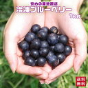 今季収穫分！国産 鹿児島県産 冷凍ブルーベリー 1kg 【送