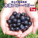 今季収穫分！国産 鹿児島県産 冷凍ブルーベリー 1kg 【送料無料】たっぷり 大容量 冷凍果物 くだ ...