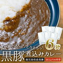 【今だけ 3000円ポッキリ】鹿児島県産 黒豚 煮込みカレー 6袋 大容量 黒豚カレー 濃厚 甘口よりの中辛 ご当地 お試し 簡単調理 常温保存 レトルトカレー レトルト食品 総菜 惣菜 国産 九州産 …