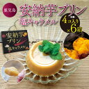 安納芋プリン (塩キャラメル) 4個入り×6箱 さつまいも さつま芋 サツマイモ 鹿児島県産 鹿児島 お土産 【送料無料】バレンタインデー 義理 本命 ホワイトデー お返し お菓子 ギフト スイーツ 秋の味覚