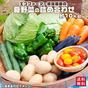 【送料無料】 農家直送 夏野菜セット 約10kg （10点以上) 【薩摩川内市コロナ支援】 野菜BOX 野菜 詰め合わせ 鹿児島県産 鹿児島産 九州産 応援 コロナ プレゼント コロナ 応援