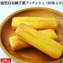 鹿児島 安納芋蜜フィナンシェ(10本入箱)【送料無料】【ネコポス配送】【ギフト不可