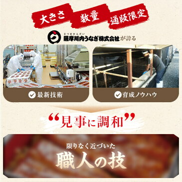 ごぼう入り 国産うなぎめしの素 合計170g(85g×2袋)うなぎ 蒲焼き ひつまぶし 薩摩川内うなぎ 蒲焼 うなぎ蒲焼 冷凍 鹿児島 国産 鰻 ウナギ ギフト プレゼント お中元 薩摩川内市 川内市 川内
