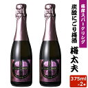 送料無料 薩摩スパークリング梅酒 375ml 8度 × 2本 リキュール 贈り物 お土産 炭酸にごり梅酒梅太夫 鹿児島