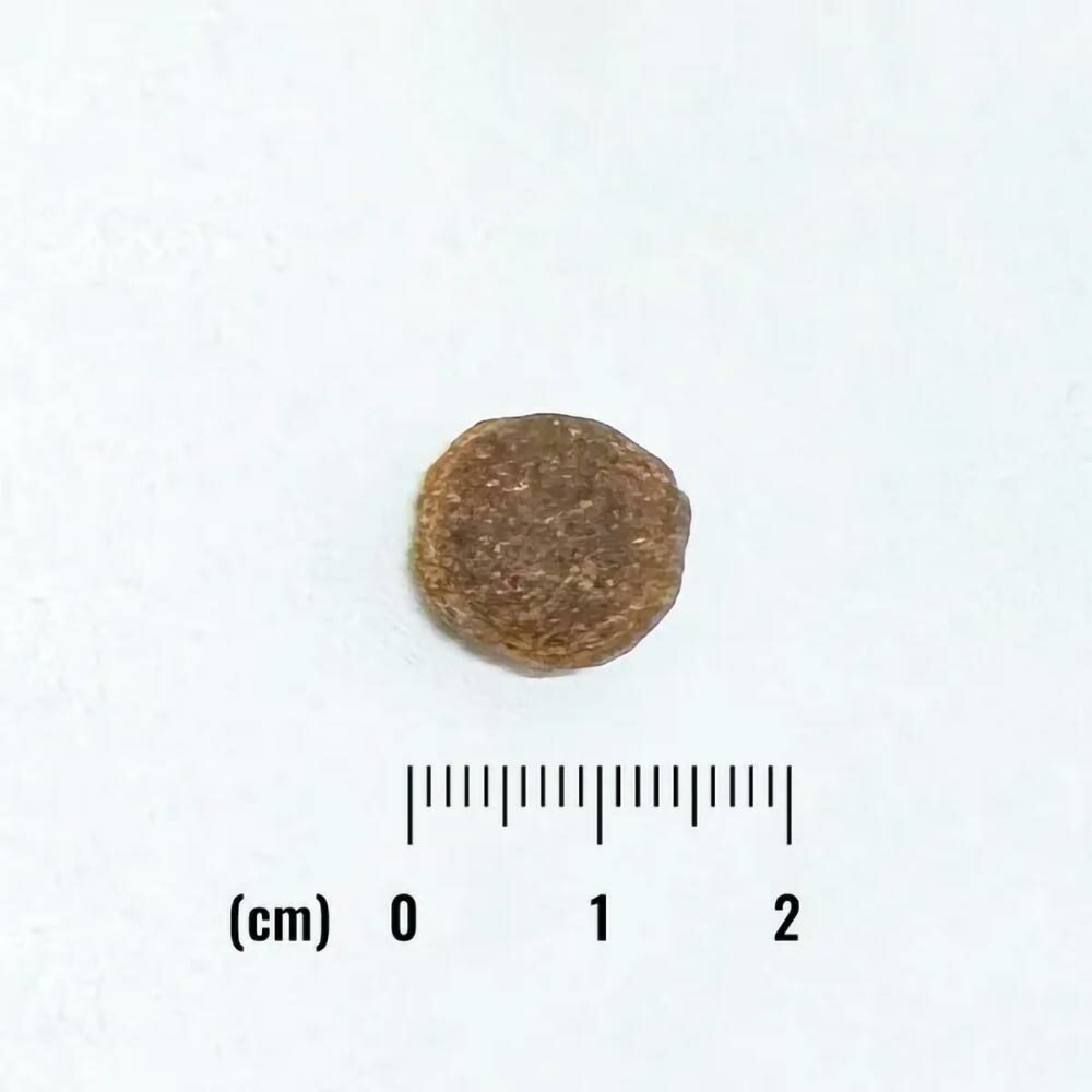 NATURAL BALANCE �ʥ�����Х�� LIMITED INGREDIENT LID ������ �������&�������ȥݥƥȥ쥷�� 800g