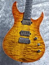 Acacia Guitars Romulus6 ARC Custom Shop Gold Yellow 　お茶の水駅前店在庫品