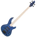 Aria Pro II アリアプ...