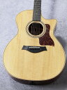 Taylor 【新製品!】314ce Stidio【お茶の水駅前店】