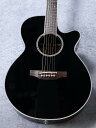 Takamine 【生産完了モデル・オール単板】TDP161C BL #60050245【送料当社負担・最大分割48回無金利】【お茶の水駅前店】