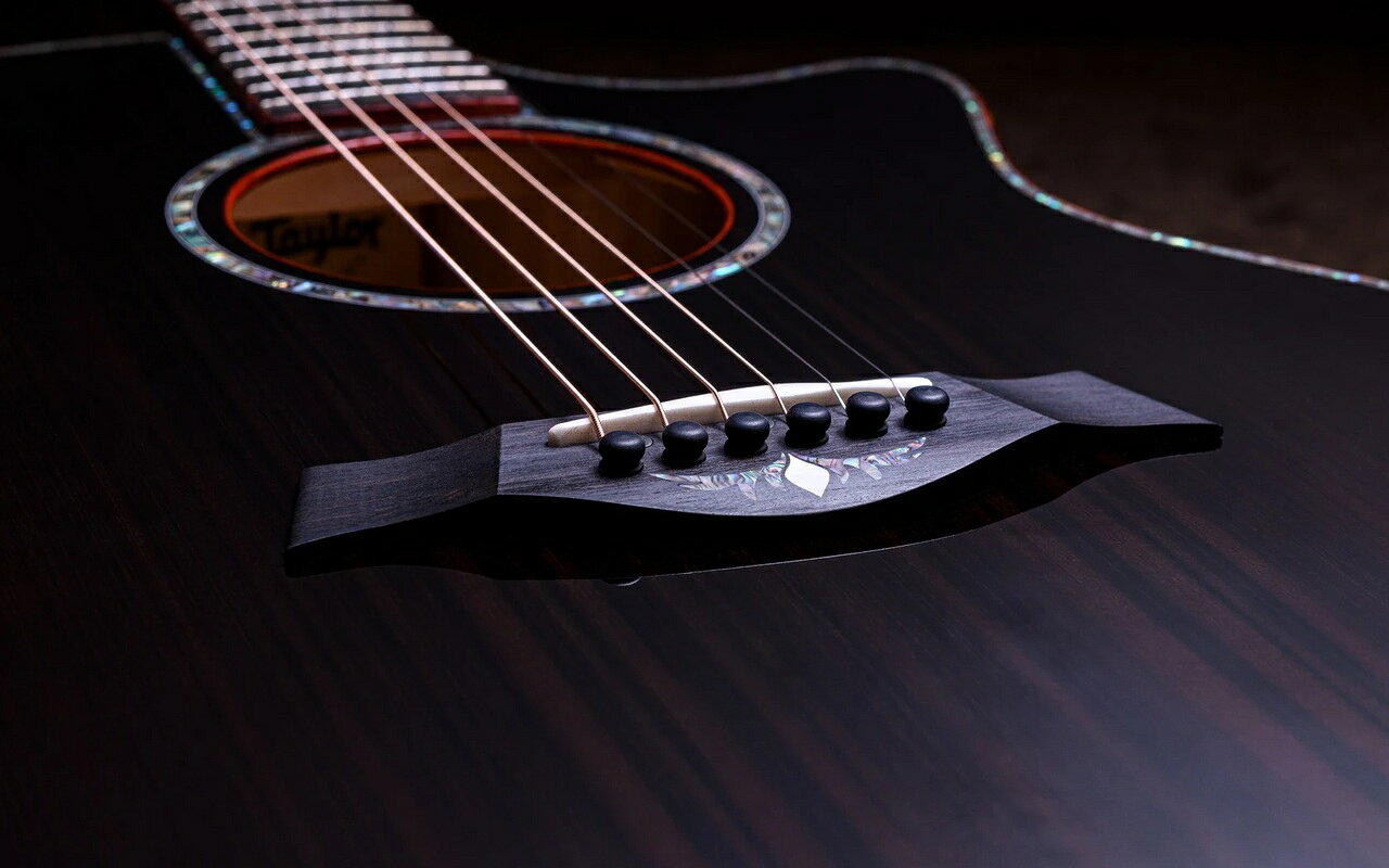【5/10迄、限定大特価+Fisman AMPプレゼント!】CTM GA Sinkaer Redwood × Flame Maple
