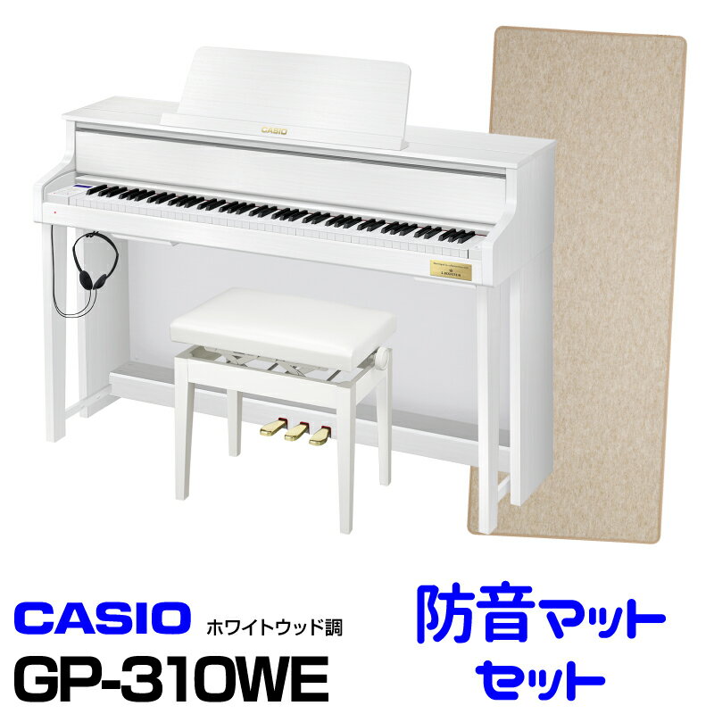 CASIO カシオ GP-310WE 