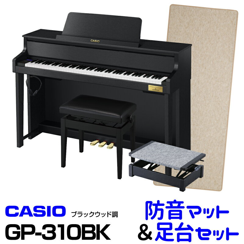 CASIO カシオ GP-310BK 
