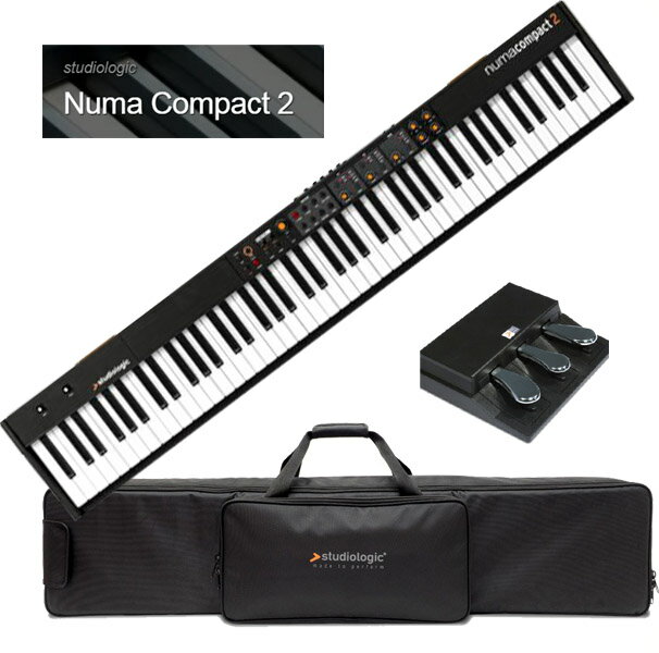 Studiologic Numa Compact 2 ѥ/SLP3-D ʽ3ܥڥ˥åȡۡڥåۡڥ̥ޡѥ 2ۡ88ס̵ۡ