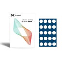 X-raypad Jade DIY Mouse Skates Universal 0.8mm PTFE Dots マウスソール【3台限定】(45210028)