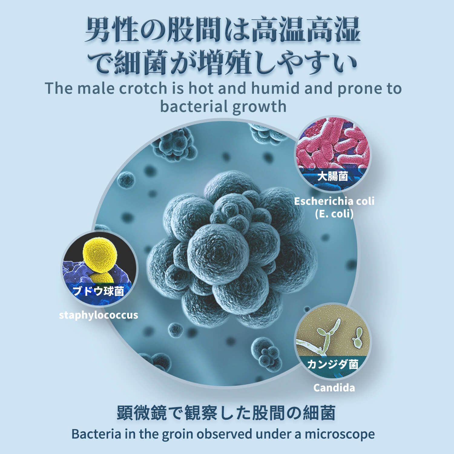 【クーポンで10%OFF】デリケート ゾーン ボディ ソープ メンズ 、バーベナ&フェロモン配合、デリケートゾーン 匂いケア 抗菌、デリケート ゾーン ソープ オーガニックデリケート ゾーン 洗剤、体臭 ボディソープ、加齢臭 石鹸 260ml【シートマスク 2枚プレゼント】