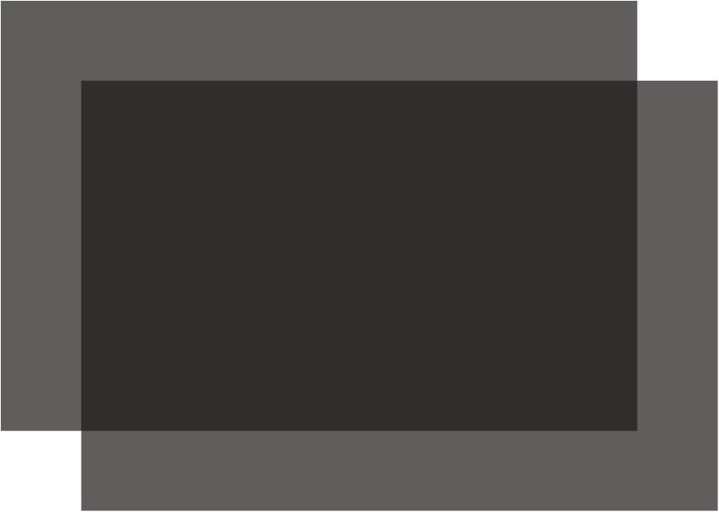 Selens 偏光フィルム 偏光シート 20x30cm 2枚入り 粘着なし 偏光子液晶スクリーン 教育物理学用 線形偏..