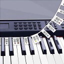 ピアノ キーボード音符ラベル カラフルなピアノ キー ステッカー初心者のためのシリコーン リムーバブル 再利用可能なピアノ キーボード ステッカー 88 キー ...