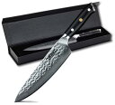 Utaki 牛刀包丁 包丁 三徳 ダマスカス 67層 V金10号 200mm 世界中で最も使われている牛刀包丁(西洋包丁)