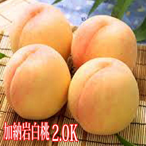 岡山白桃 加納岩白桃 約2.0kg 約6玉~8玉 岡山桃 桃 もも お中元 贈答用 ギフト 秀品 岡山白桃 加納岩白桃 約2.0kg 約6玉~8玉 岡山桃 桃 もも お中元 贈答用 ギフト 秀品