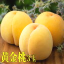 岡山桃 黄金桃 岡山産 3玉 桃 もも お中元 贈答用 ギフト 秀品