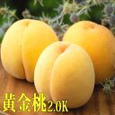 岡山桃 黄金桃 岡山産 約2.0kg 約6玉〜8玉 桃 もも お中元 贈答用 ギフト 秀品