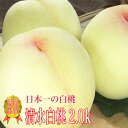 岡山白桃 清水白桃 岡山産 2kg 約6玉~8玉 岡山桃 桃 もも お中元 贈答用 ギフト 秀品