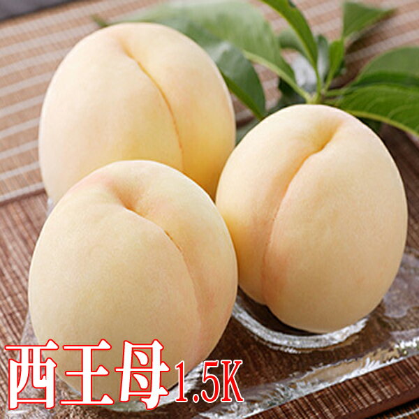 岡山白桃 西王母 約1.5kg 約4玉〜6玉 岡山桃 桃 もも ギフト 贈答用 秀品のサムネイル