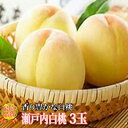 岡山白桃 瀬戸内白桃 3玉 白桃 岡山桃 桃 もも 贈答用 ギフト 秀品