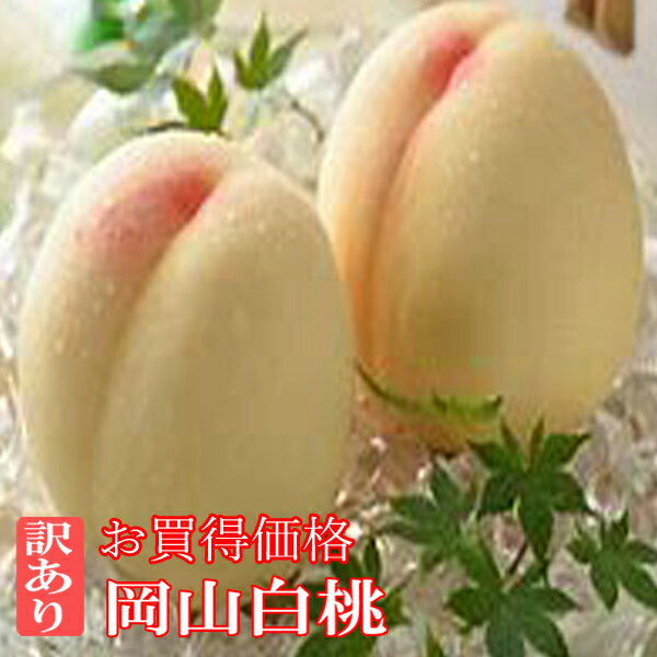 岡山白桃 訳あり 桃 1.5kg 約4玉〜6玉 岡山桃 訳あり 桃 もも 白桃訳ありのサムネイル