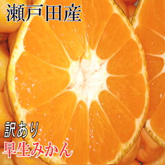 https://thumbnail.image.rakuten.co.jp/@0_mall/ekokadeno-sutinsa-bisu/cabinet/04638727/imgrc0069056749.jpg