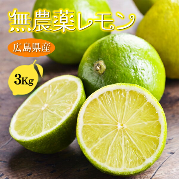 無農薬 レモン 3kg 国産 瀬戸内レモン 広島産 ノーワックス 防腐剤不使用のサムネイル