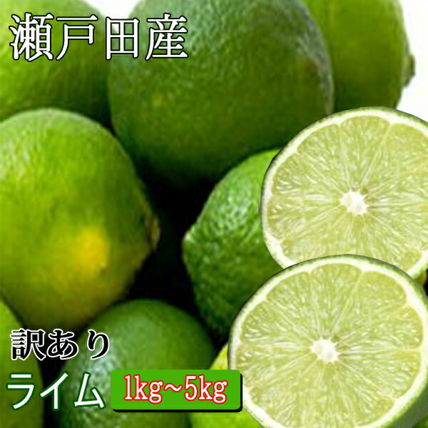 国産 ライム 1kg 2kg 3kg 訳あり 広島 瀬戸内 瀬戸田産 ノーワックス 防腐剤不使用