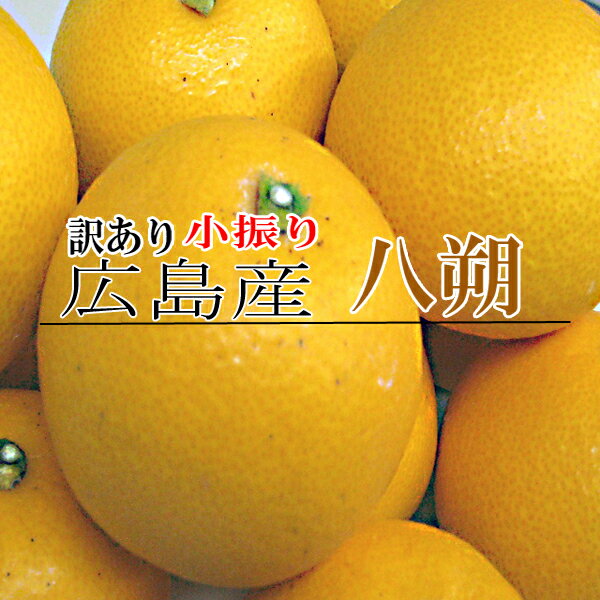 小振り 八朔 訳あり 10kg 尾道 広島産 小振りの八朔はっさく 10K 送料無料八朔 家庭用八朔 訳あり八朔 はっさく 八朔訳あり ハッサク