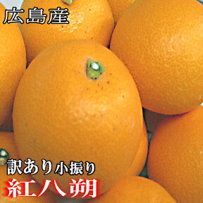 小振り紅八朔 訳あり 5kg 尾道 広島産 送料無料八朔 紅八朔 家庭用紅八朔 訳あり八朔 はっさく 紅八朔訳あり ハッサク