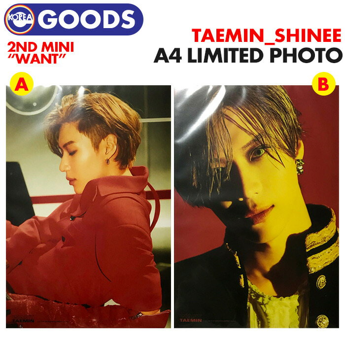 ＜即日発送＞【 SHINee テミン A4フォト - WANT Ver.- 】 シャイニー TAEMIN 大判 写真 SMTOWN SUM 公式グッズ