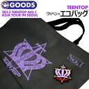 ＼SALE／＜即日発送＞【 エコバッグ ＋ ワッペンセット 2013 TEENTOP NO.1 ASIA TOUR IN SEOUL 】(代引不可/ネコポス…