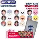 ★条件特典付★即日発送【 トレーディング缶バッチ 】 Stray Kids 5-STAR Dome Tour 2023 Seoul Special (UNVEIL 13) TRADING CAN BADGE ドームツアー スキズ ライブ 公式グッズ MD 【キャンセル不可】