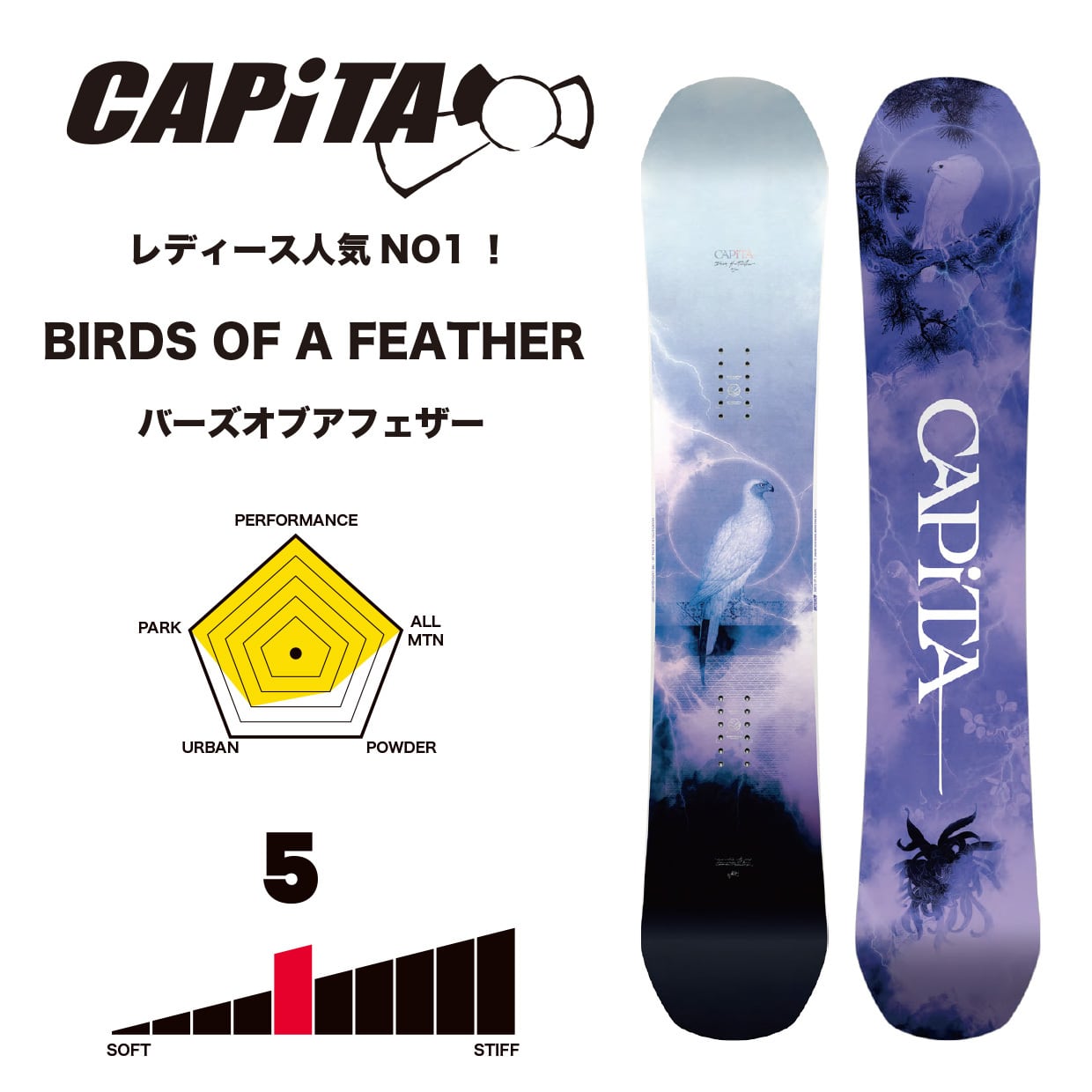 楽天市場】capita スノーボード レディース birds of a feather 楽天市場】capita スノーボード レディース birds of a feather