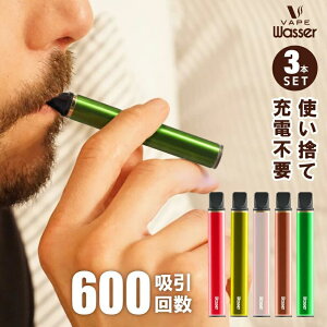 電子タバコ 3本セット 吸引数600回 VAPE ポケットシーシャ 持ち運び型シーシャ 携帯シーシャ