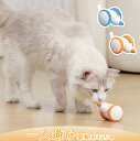 【送料無料】猫 おもちゃ ねずみ 自動 ねこ おもちゃ ネズミの鳴き声もある LEDライト付きのしっぽ 運動不足解消 ストレス解消 光る猫のおもちゃ USB充電...