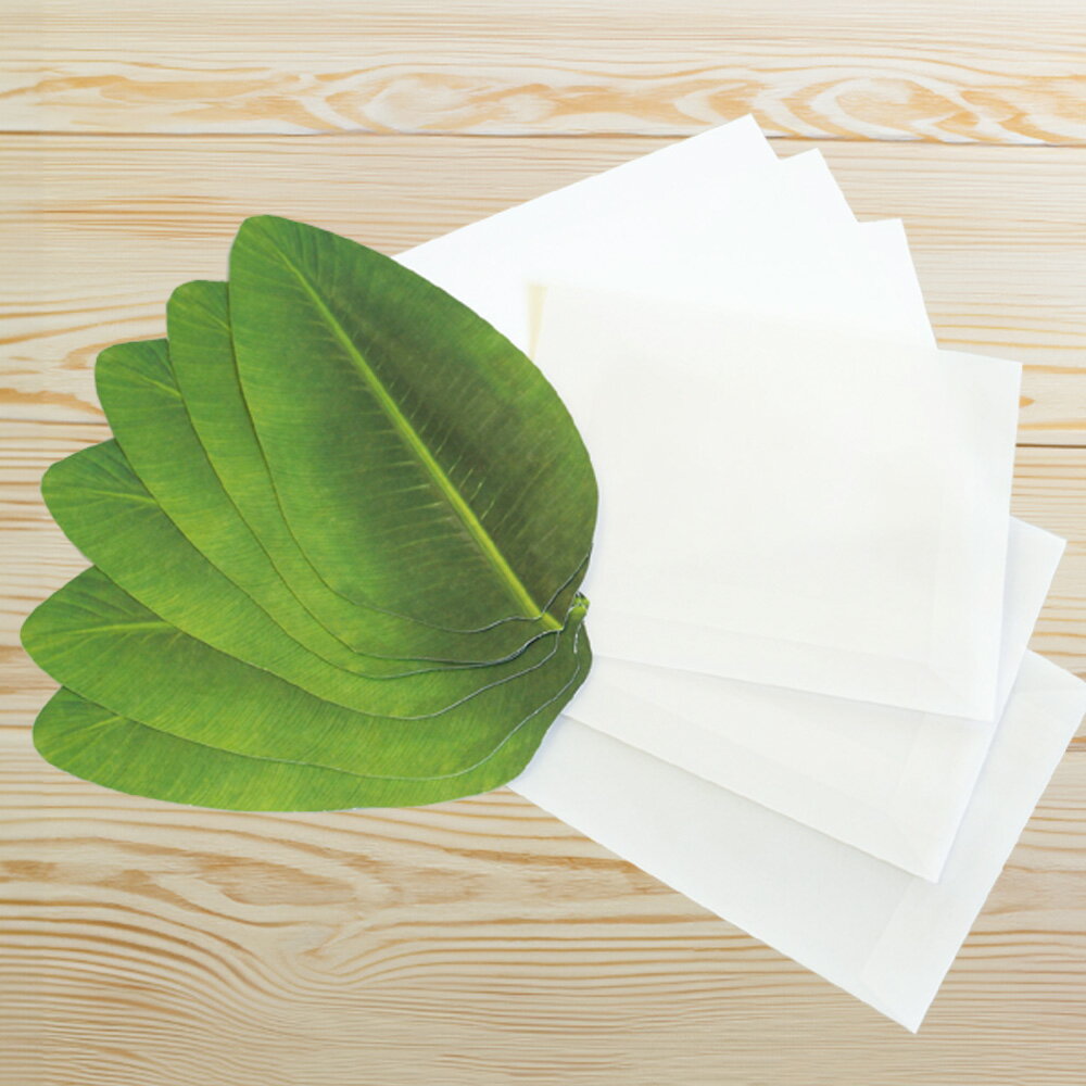 \P2倍+クーポン/レターセット LTTER SET|定型内 手紙 便箋 封筒 ギフト お祝い 誕生日 おしゃれ かわいい シンプル 個性的 葉 トレーシングペ...
