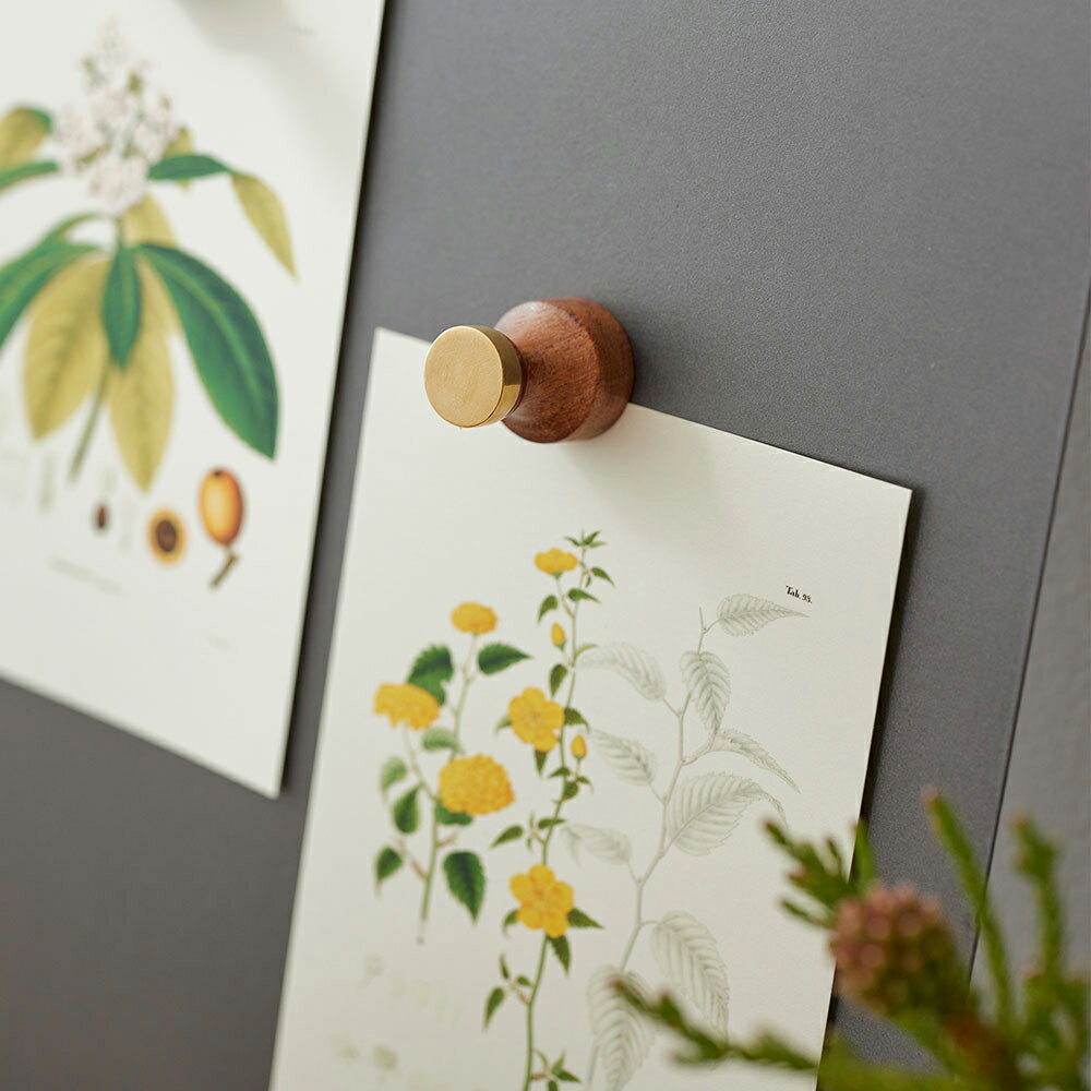 ＼P2倍＋クーポン／木とBRASSのマグネットフック｜真鍮 シンプル ディスプレイ インテリア 雑貨 おしゃ..