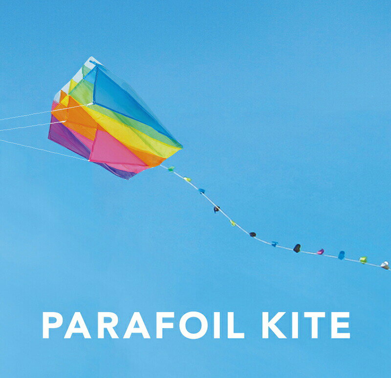 【ポイント5倍!＋クーポン】パラフォイルカイト PARAFOIL KITE｜アウトドア ライトスポーツ ピクニック キャンプ キッズ 行楽 レジャー 凧揚げ 凧 スポーツカイト カラフル 行楽 外遊び お正月