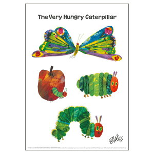 ڥݥ5!ܥݥERIC CARLE å B4ݥButterfly / Ϥڤष١åƥꥢ