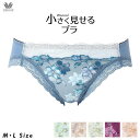【エントリー&2点購入でP5倍★3点で10倍】 20%OFF ワコール Wacoal ショーツ 小さく見せるブラ ペアショーツ レギュラーショーツ MLサイズ PRA153