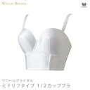 15%OFF ワコール ブライダル ウェディング 挙式 結婚式 披露宴 下着 インナー Wacoal Bridal ミドリフタイプ 1/2カップブラ F・Gカップブラ BUA472